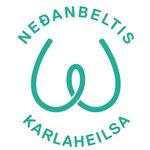 Nedanbeltis