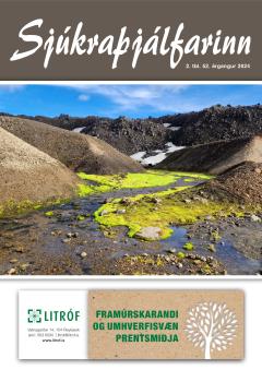 Forsíðumynd
